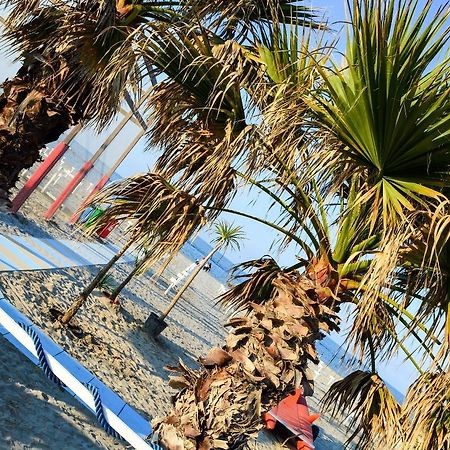 Hotel Villa Cesira Bellaria-Igea Marina Eksteriør billede